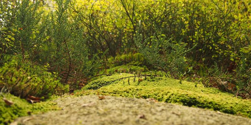 专业配镜指南：星辰眼镜与普通眼镜材质深度对比评测，守护视力健康