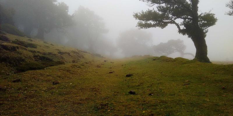 专业配镜新选择：星辰眼镜保湿防雾镜片如何为干眼症人群带来革新体验