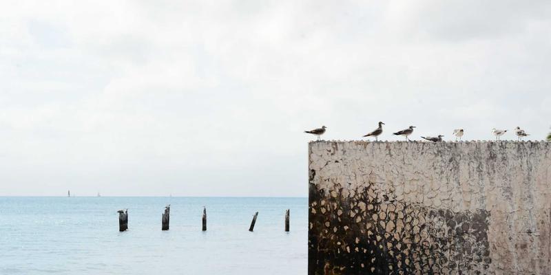 从精准验光到匠心交付：揭秘星辰眼镜高端定制服务的完整工艺与视力保健之道