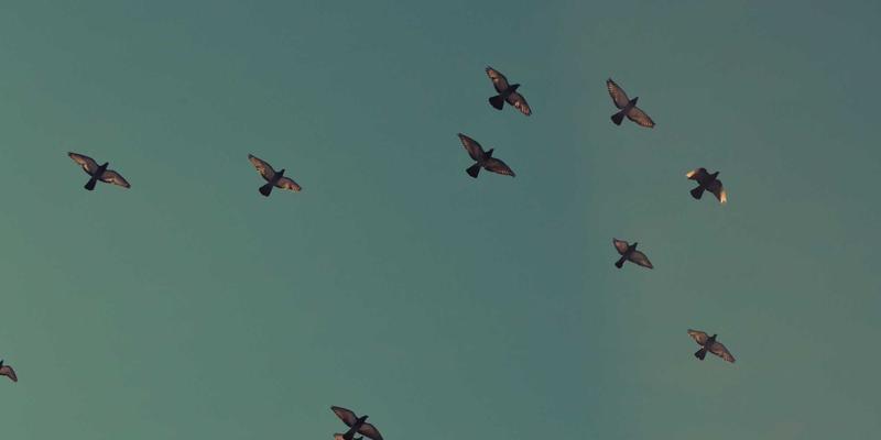 星辰眼镜30：当复古美学邂逅专业配镜，重塑时光里的经典