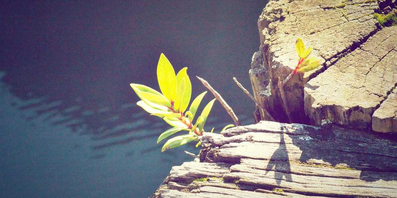 星辰眼镜前景展望：专业配镜、精准视力检查与眼镜店体验的融合创新