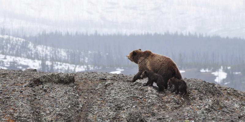星辰眼镜渐进多焦点镜片选购指南：中老年视力过渡的舒适解决方案