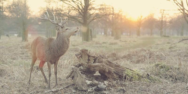 星辰眼镜渐进多焦点镜片选购指南：为不同年龄段职场人士匹配最优方案