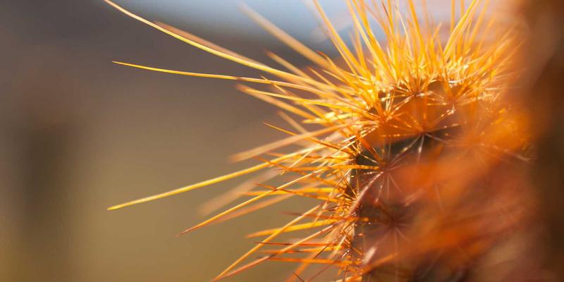 星辰眼镜运动光学系列深度评测：防滑设计与广角视野如何颠覆运动视力保健体验