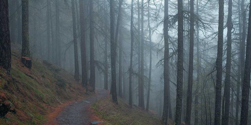 眼镜店专业解析：星辰智能感光镜片如何通过科技实现视力保健